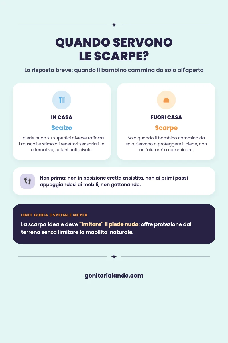 Schema che mostra quando mettere le scarpe primi passi al bambino